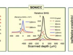 SONICC®(非对称晶体的二阶非线性成像)在活性药物成分表征中的应用